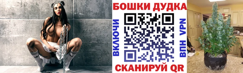 Бошки Шишки VHQ  купить наркотики сайты  Костомукша 